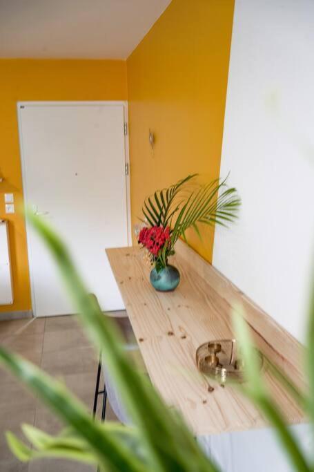 Le Marie-Agnes Appartement Neuf De Standing Fort-de-France Exterior foto